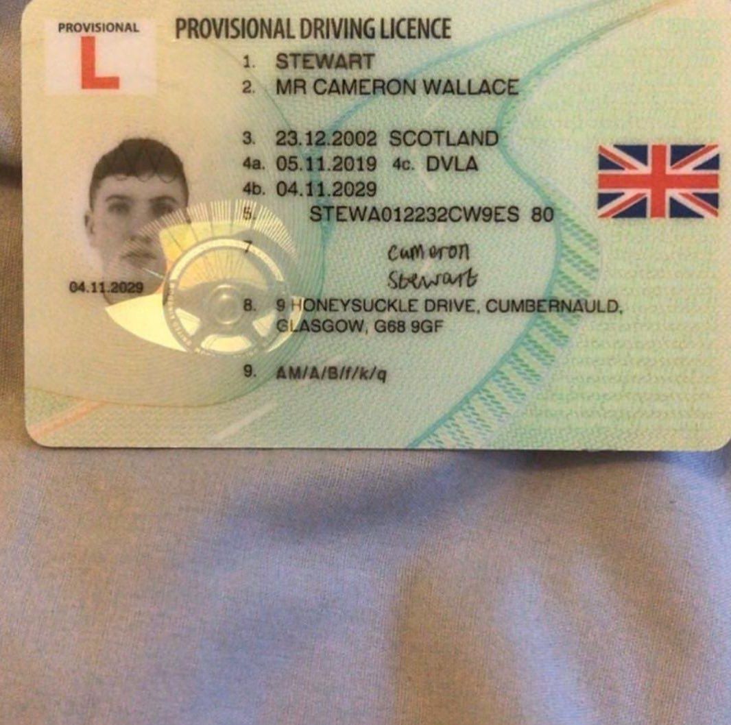 PROVISIONAL DRIVING LICENSE